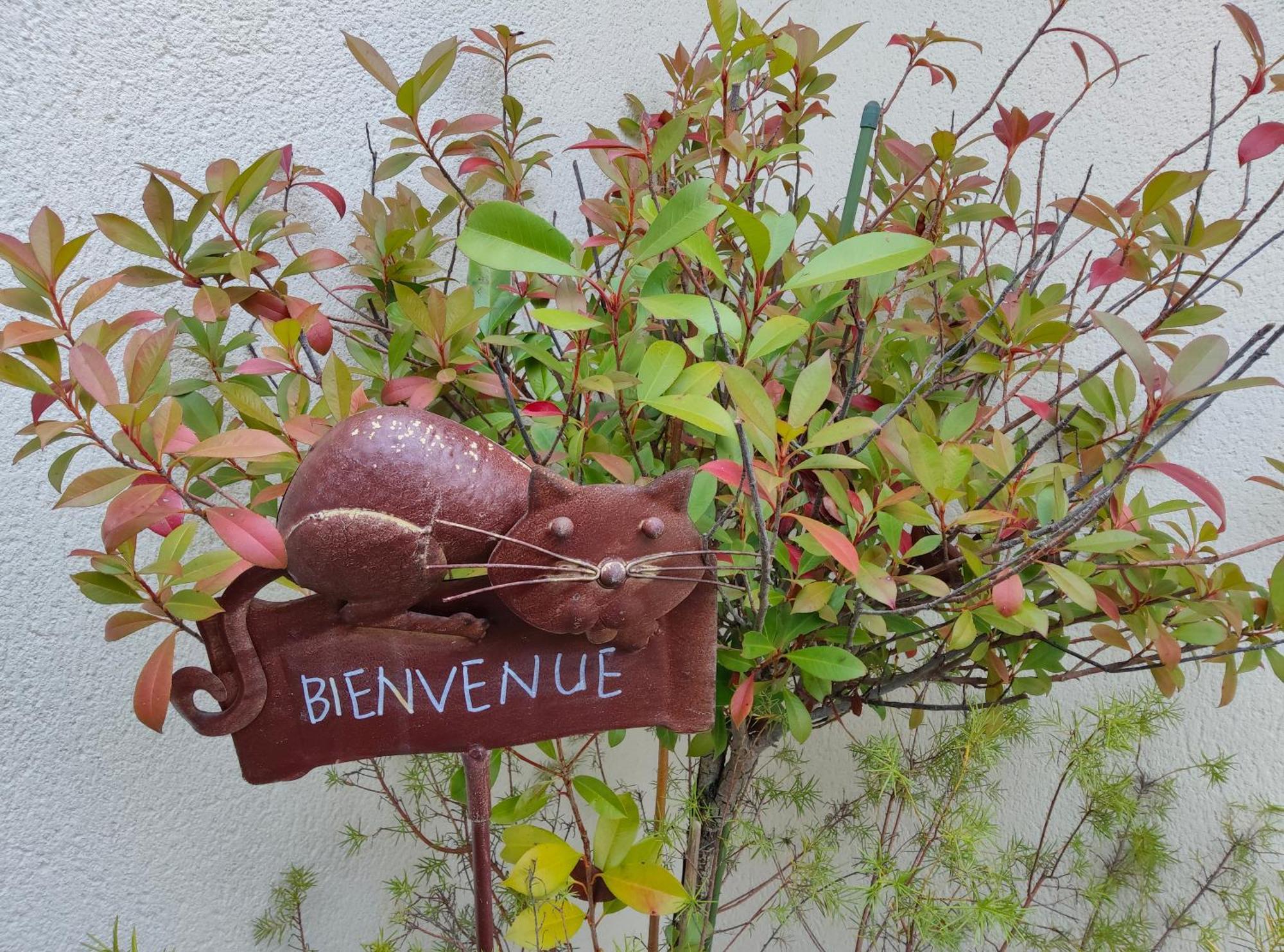 Bed and Breakfast Du Côté de Chez Paule Séméac Exterior foto